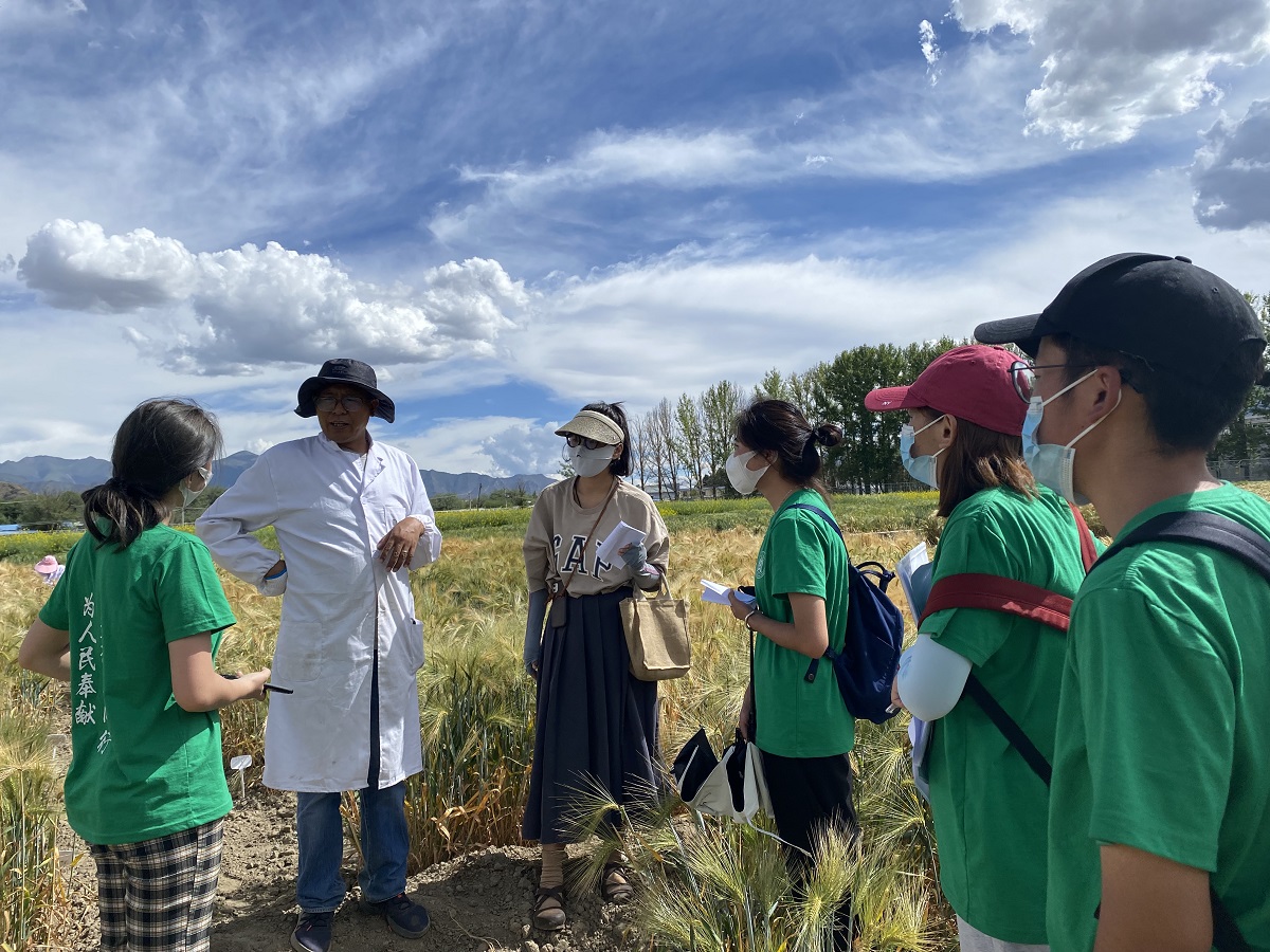 3在青稞基地采访西藏农牧科公司达瓦研究员